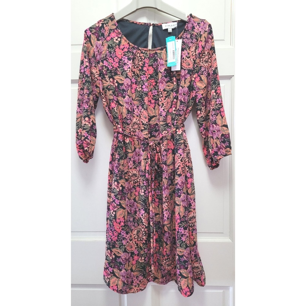 Stitch Fix Gilli 3/4 Sleeves Vandelia Scoop Neck Dress - Pink Floral - Large